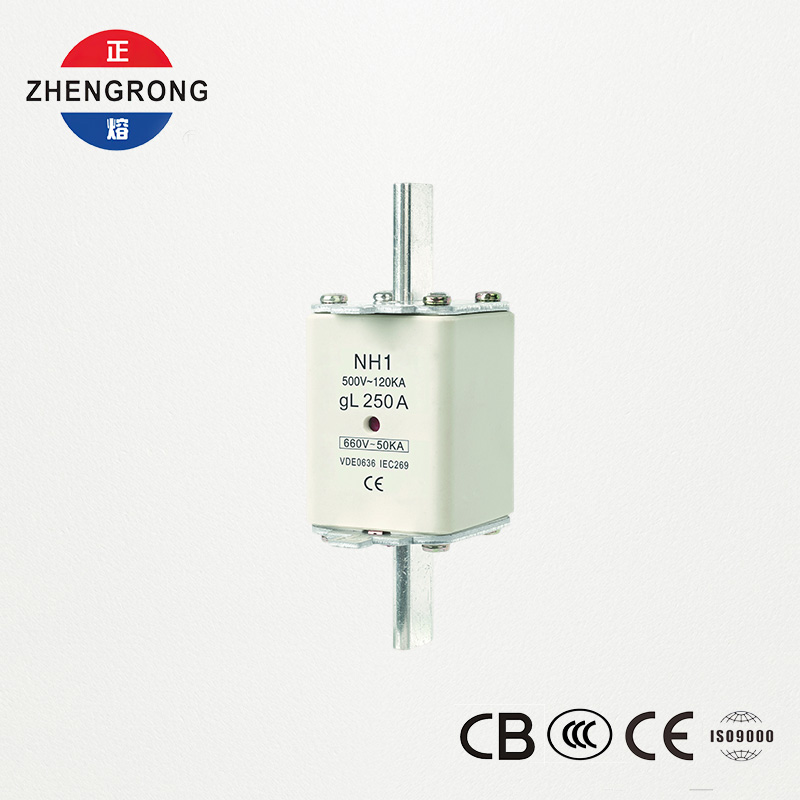 CE اور IEC سرٹیفائیڈ فیوز لنک NH1 500V 250A ہائی توڑنے کی صلاحیت