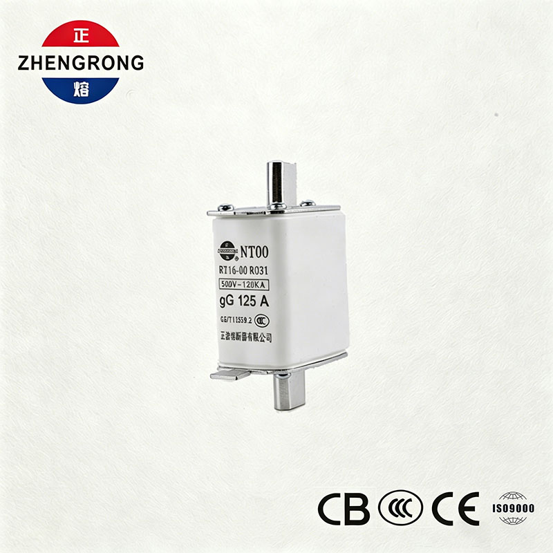 اعلی توڑنے کی صلاحیت NT00 125A فیوز - 500V 120kA سیرامک ​​جی جی فیوز لنک