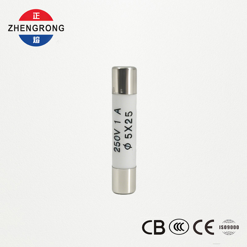 تھوک خریداروں کے لیے اعلیٰ معیار کے 5x25mm R055 1A فیوز